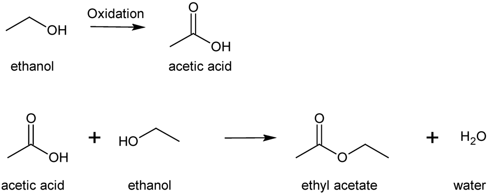 Catalysts 02 00068 g014 1024