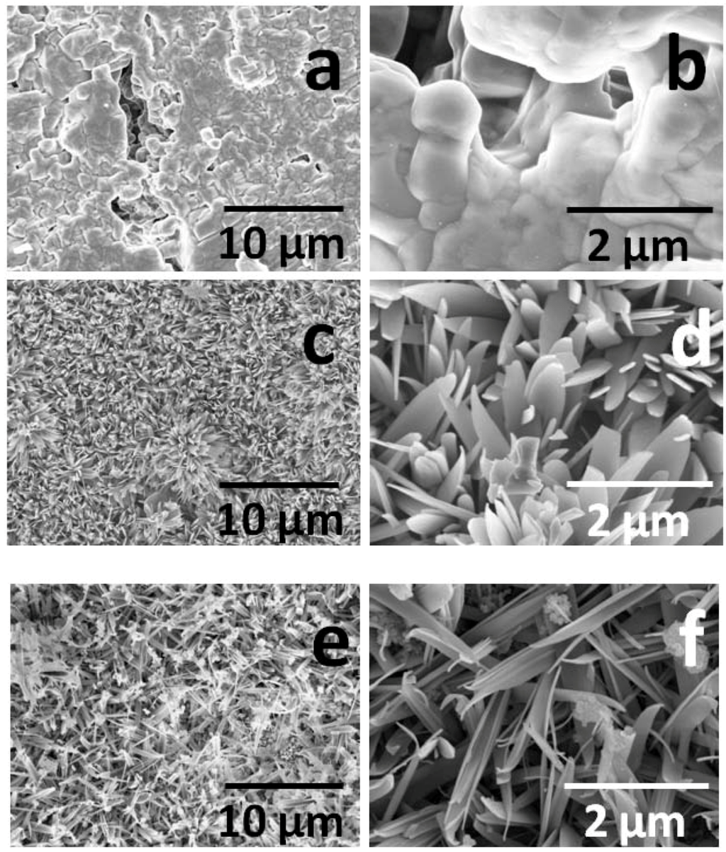 Catalysts 02 00386 g003 1024