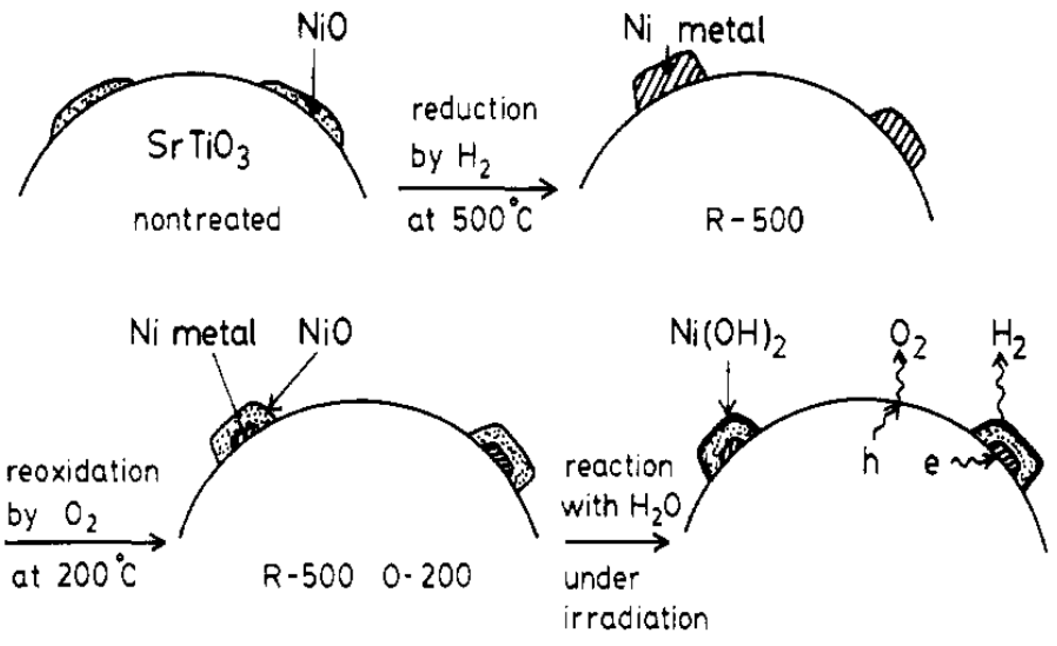 Catalysts 02 00490 g003