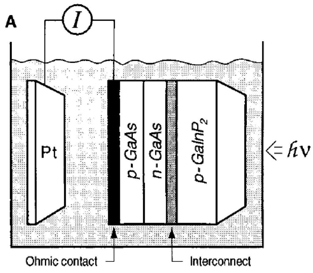 Catalysts 02 00490 g011 1024