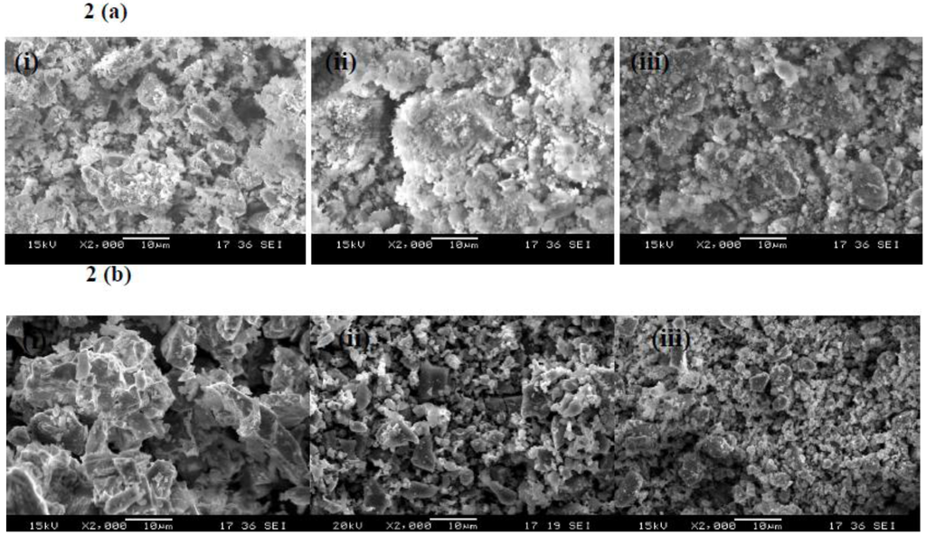 Catalysts 02 00532 g002 1024