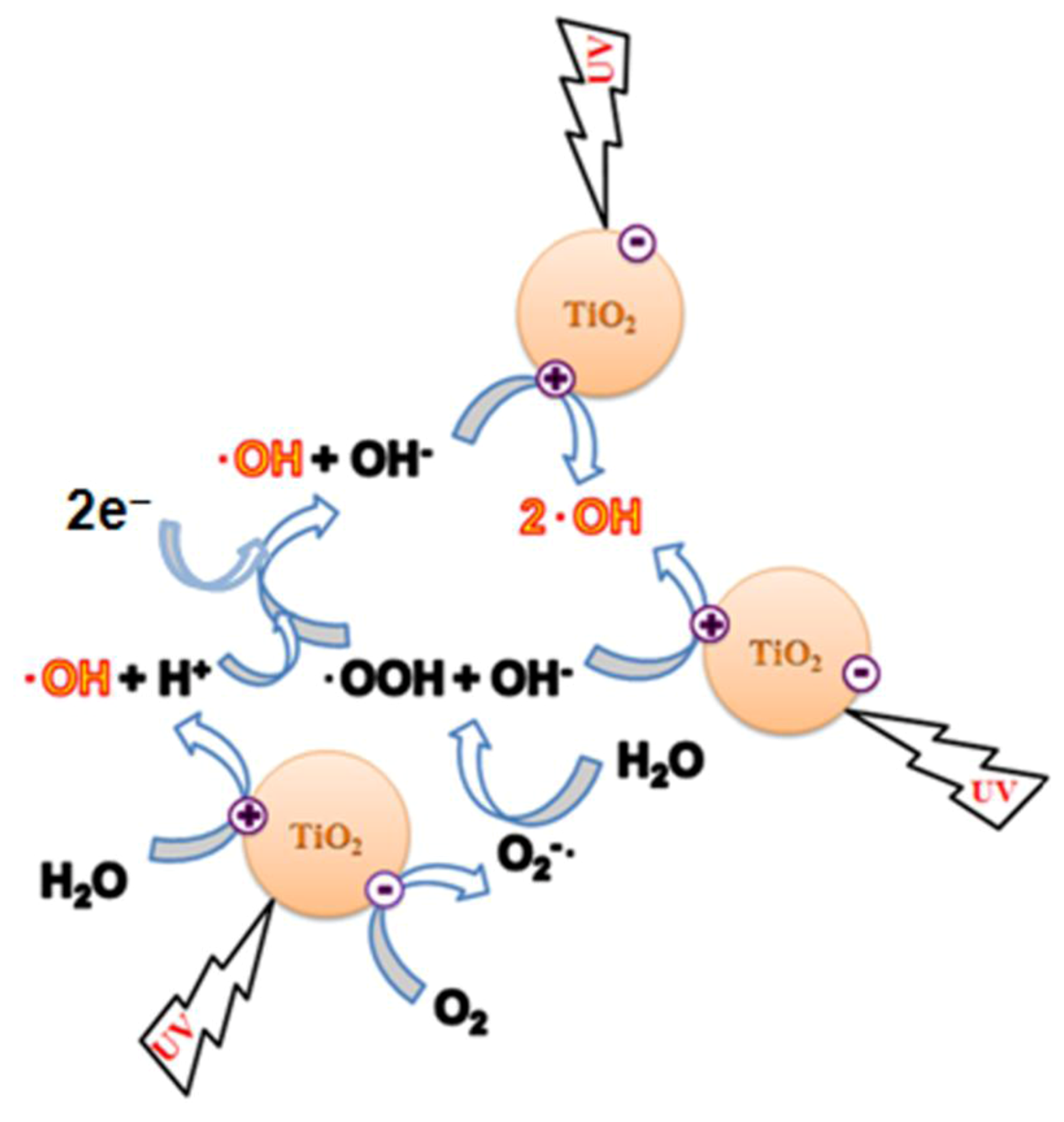 Catalysts 02 00572 g002