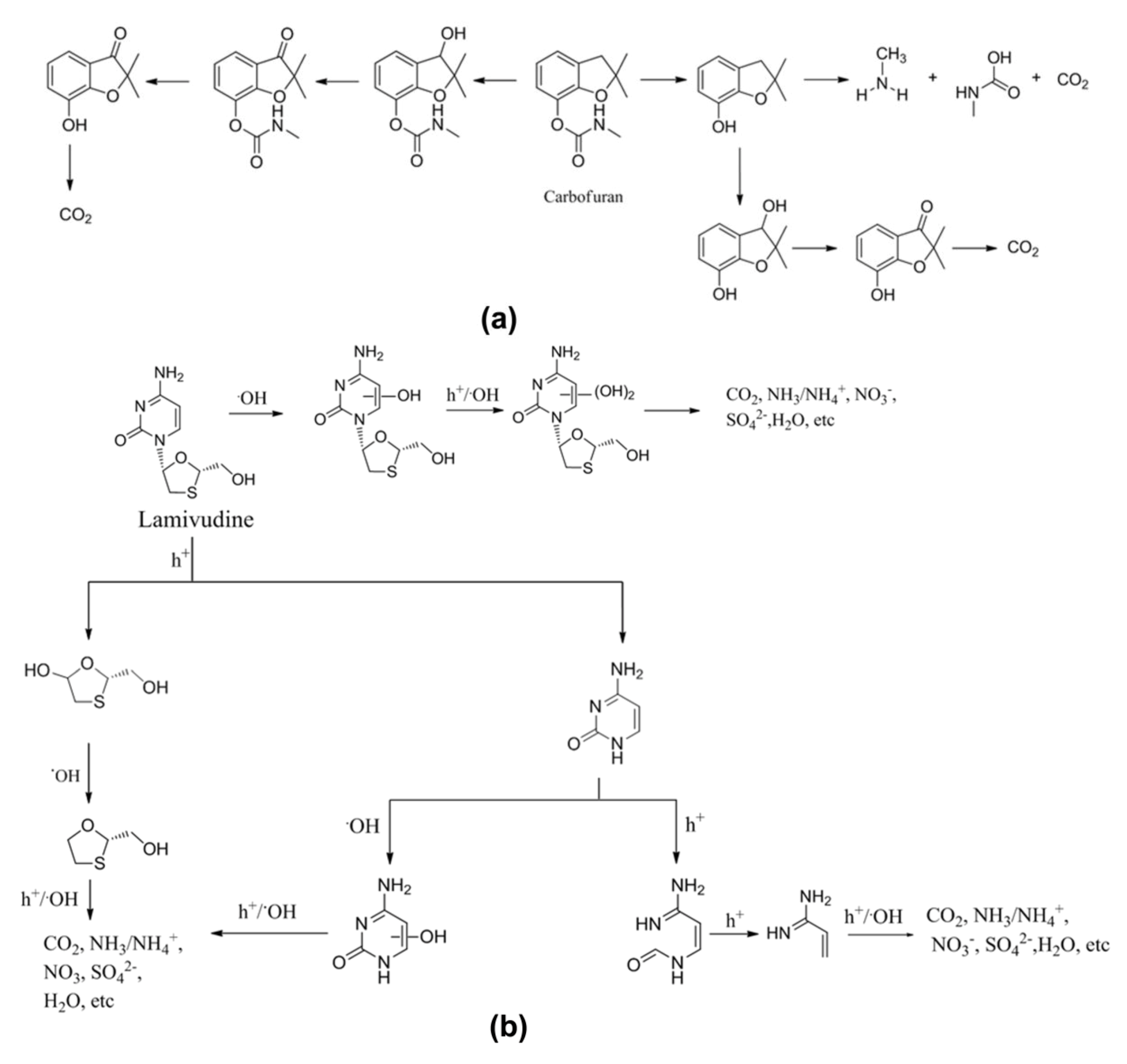 Catalysts 02 00572 g008