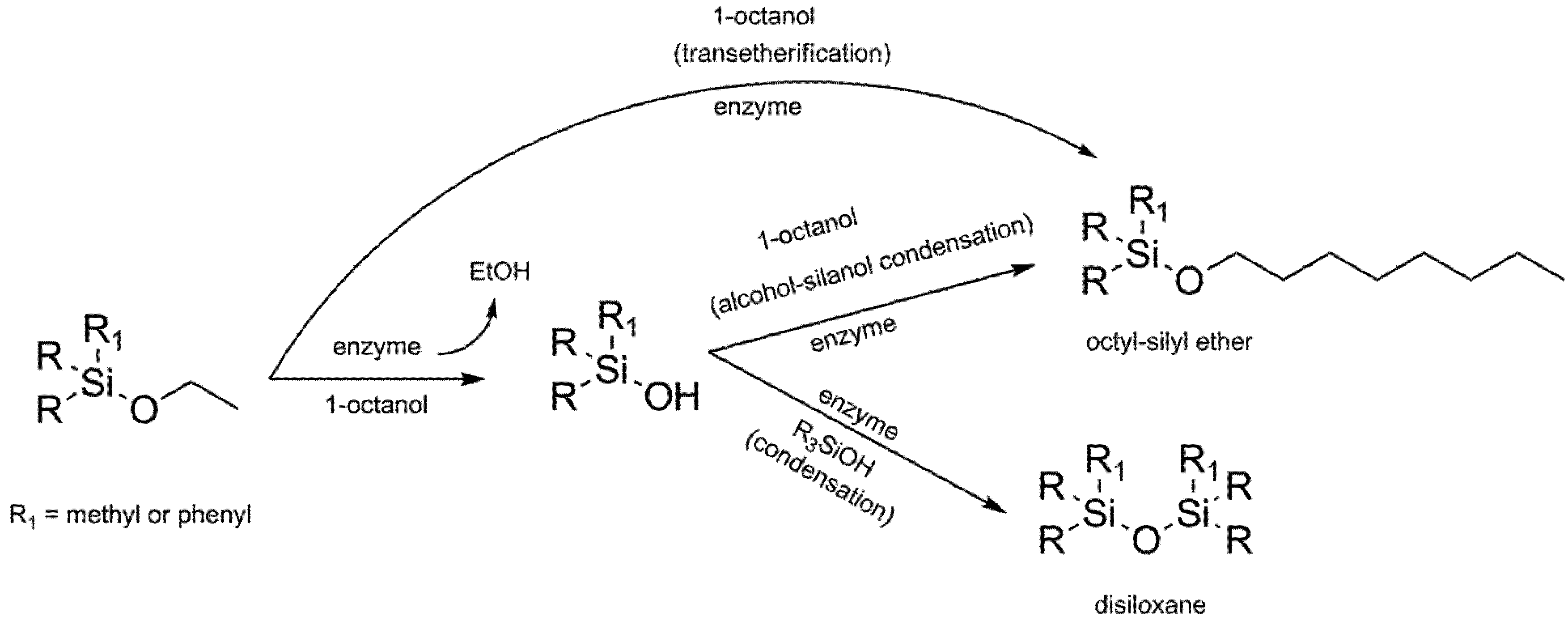 Catalysts 03 00027 g002