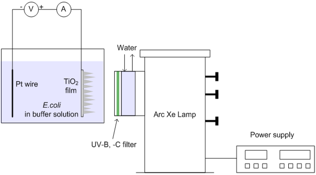 Catalysts 03 00247 g001 1024