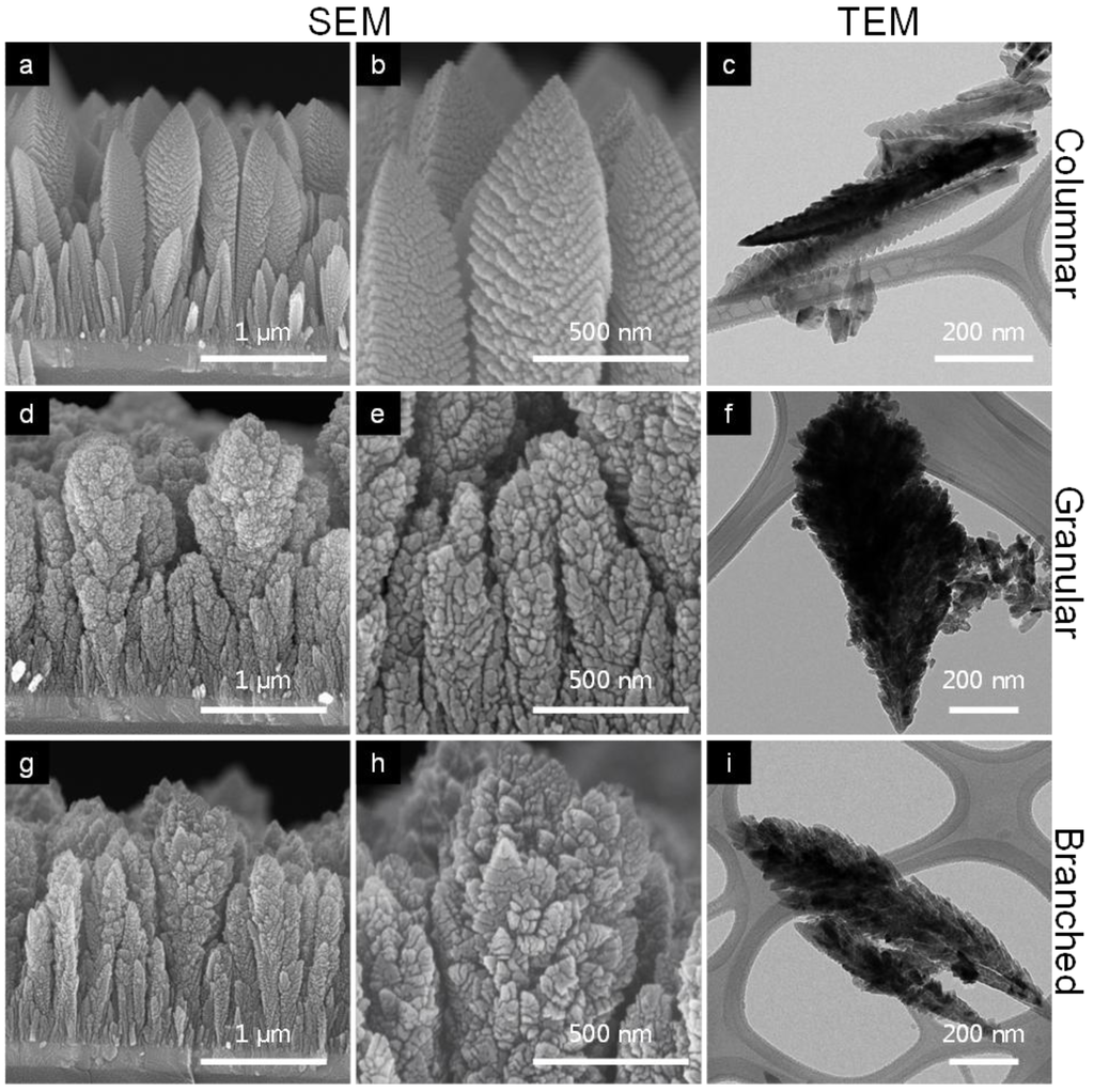 Catalysts 03 00247 g002 1024