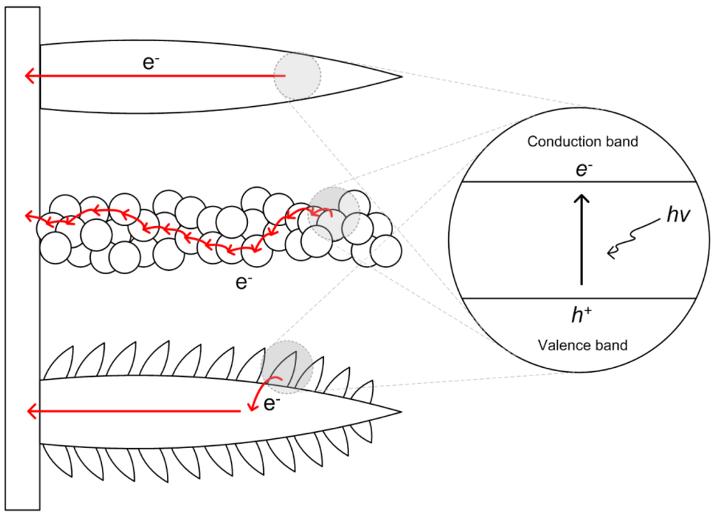 Catalysts 03 00247 g006 1024