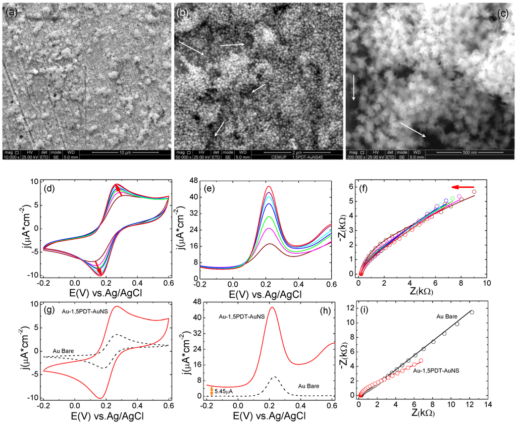 Catalysts 03 00288 g005 1024