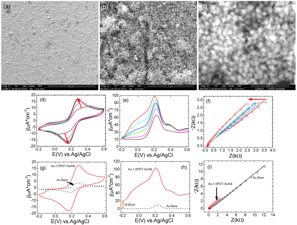 Catalysts 03 00288 g006 1024