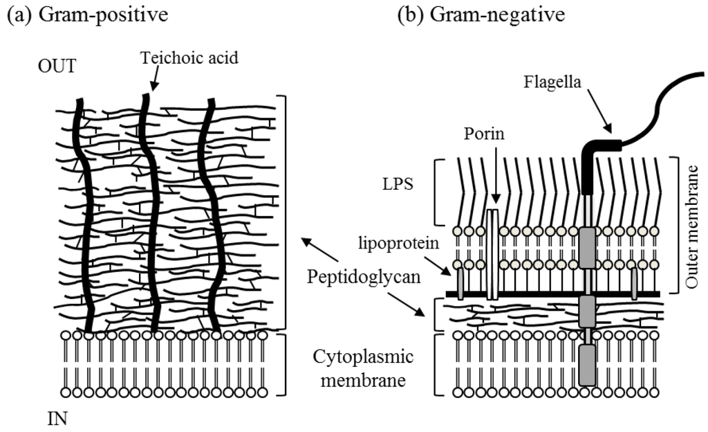 Catalysts 03 00310 g002 1024