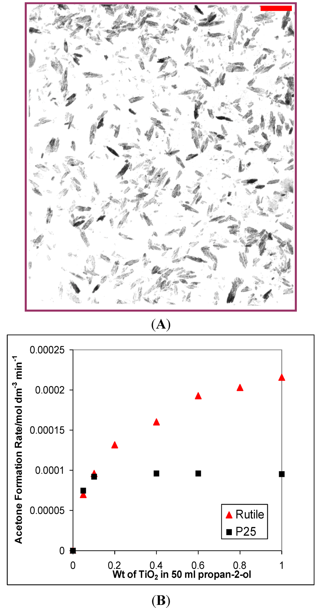 Catalysts 03 00338 g001 1024
