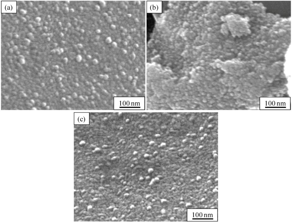 Catalysts 03 00363 g001 1024