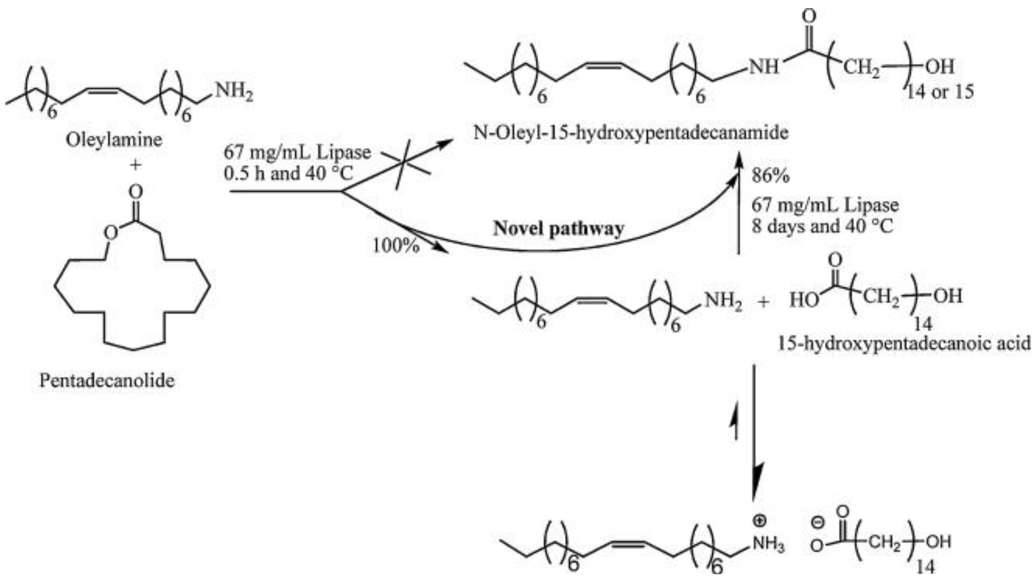 Catalysts 03 00401 g004