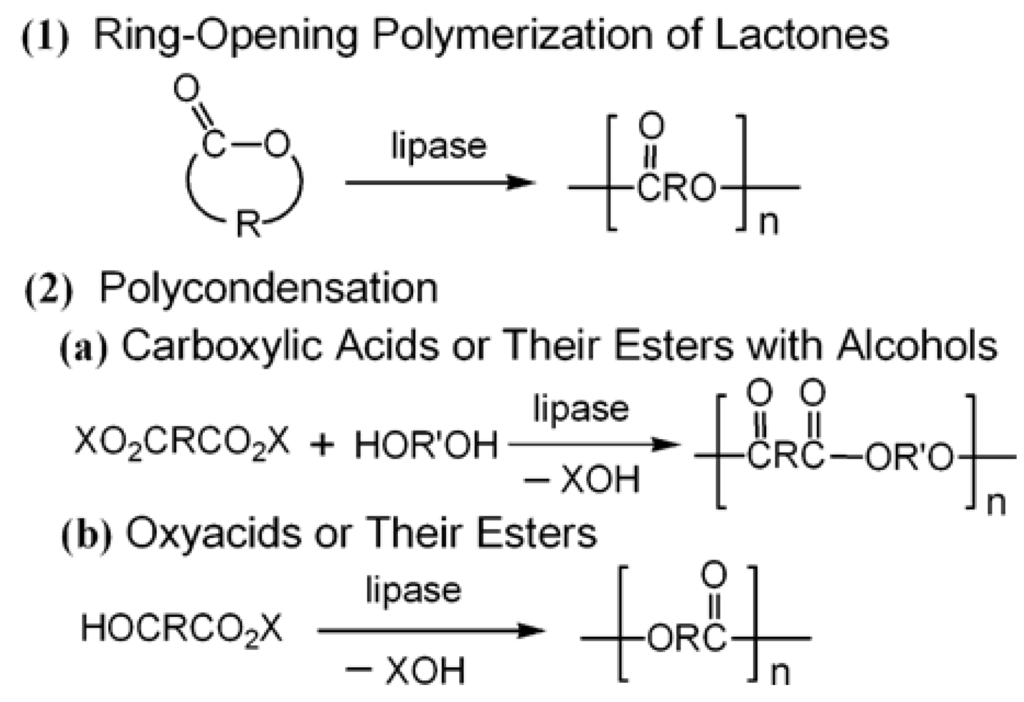Catalysts 03 00401 g005 1024