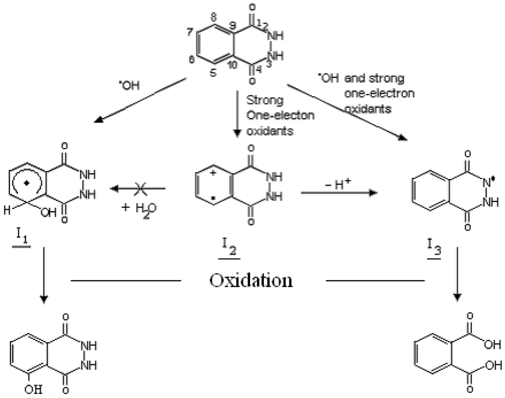 Catalysts 03 00418 g002 1024