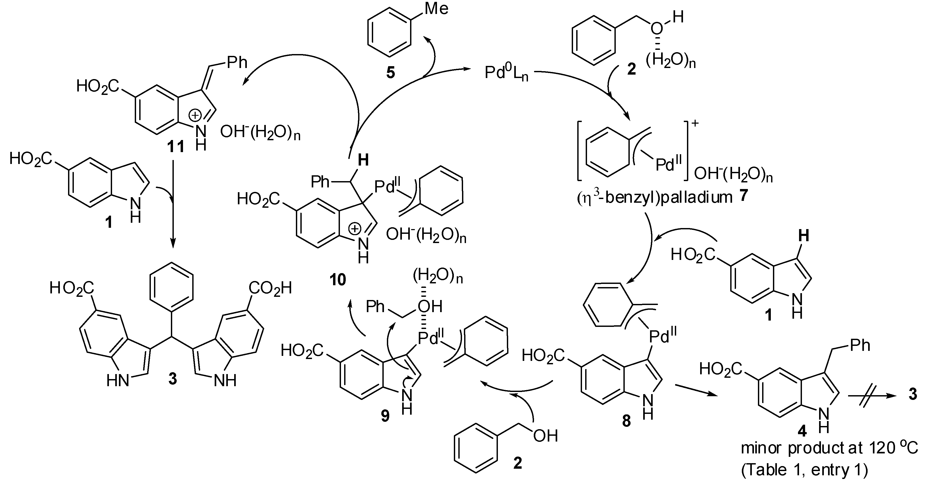 Catalysts 03 00486 g007