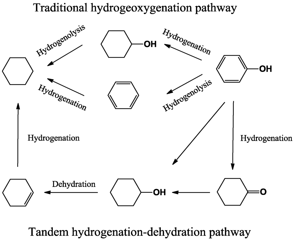 Catalysts 03 00543 g010 1024