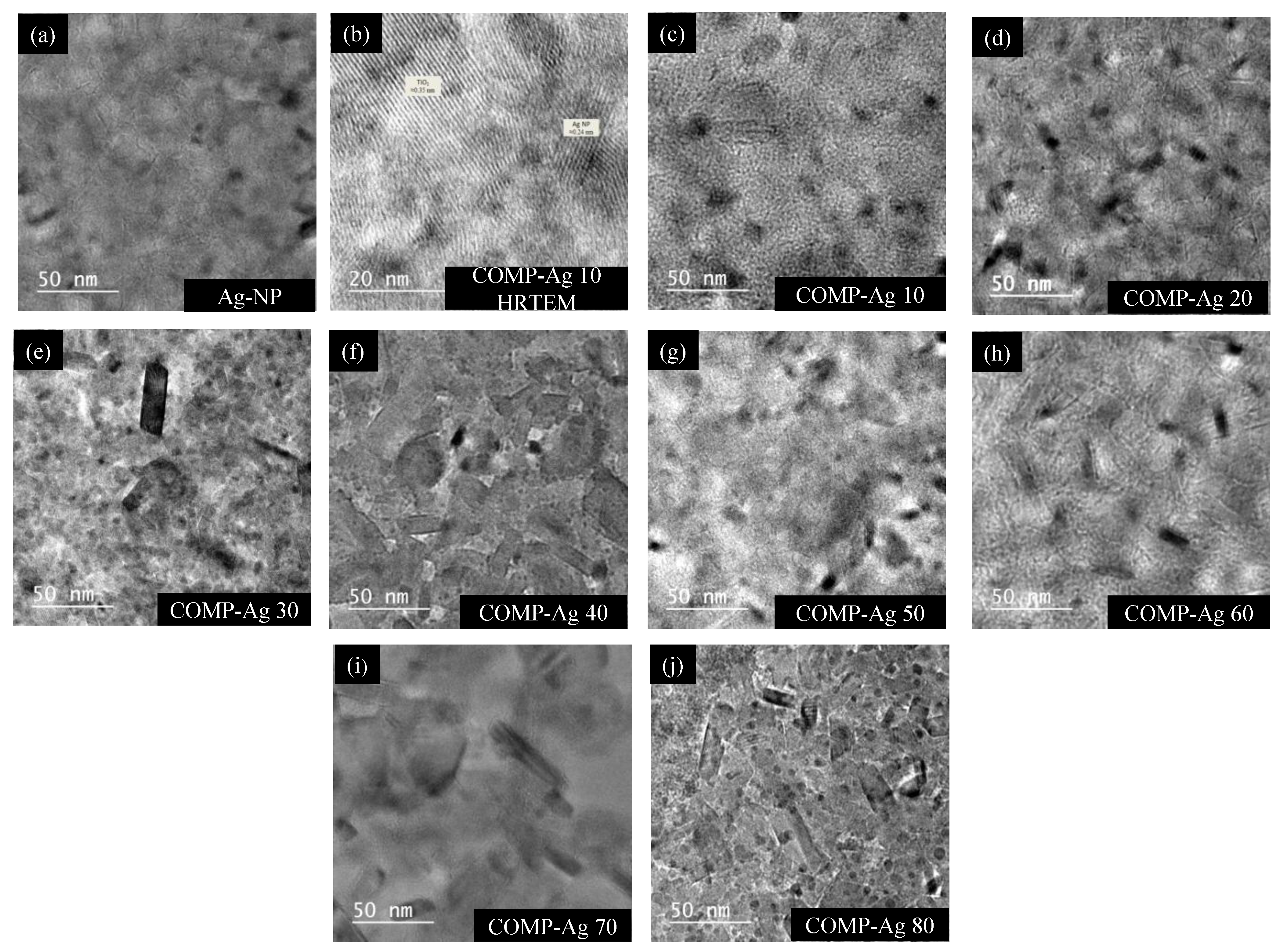 Catalysts 03 00625 g003