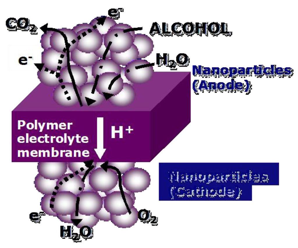 Catalysts 03 00811 g001 1024