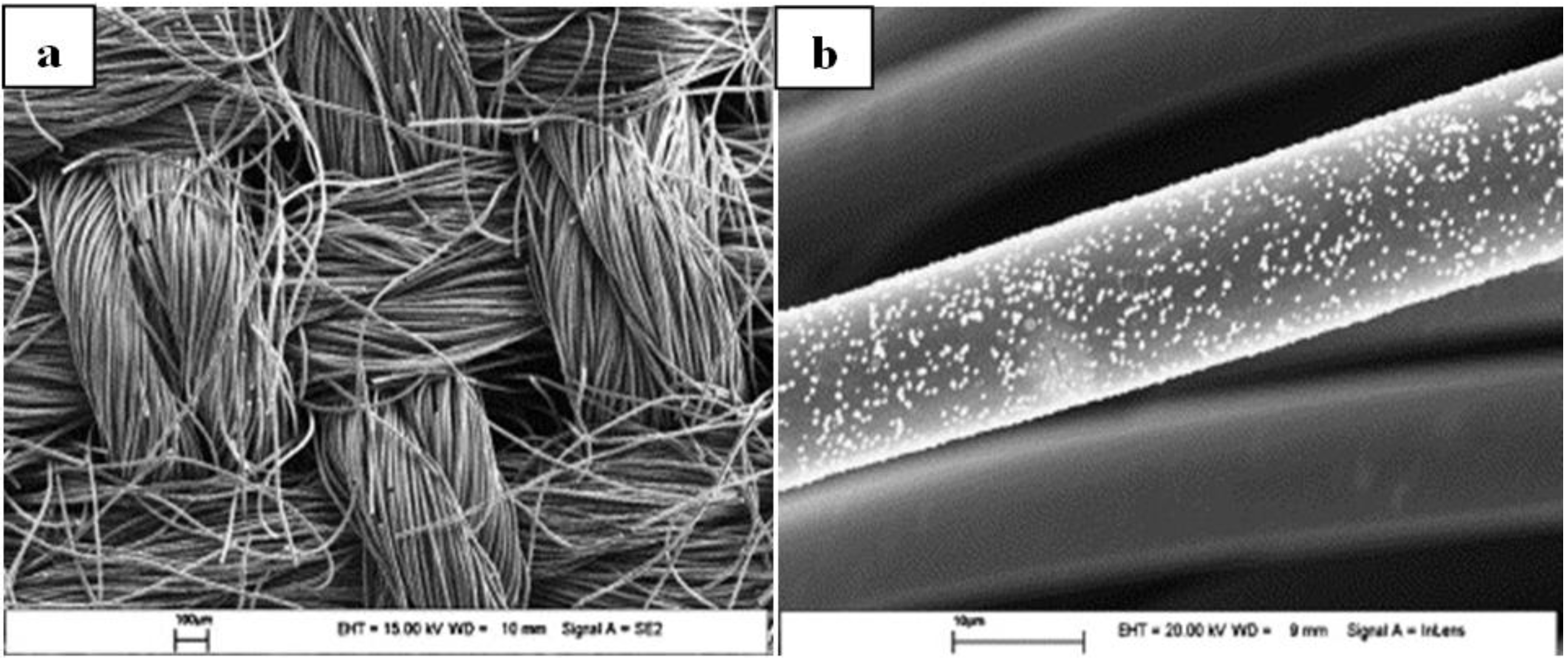 Catalysts 03 00853 g004
