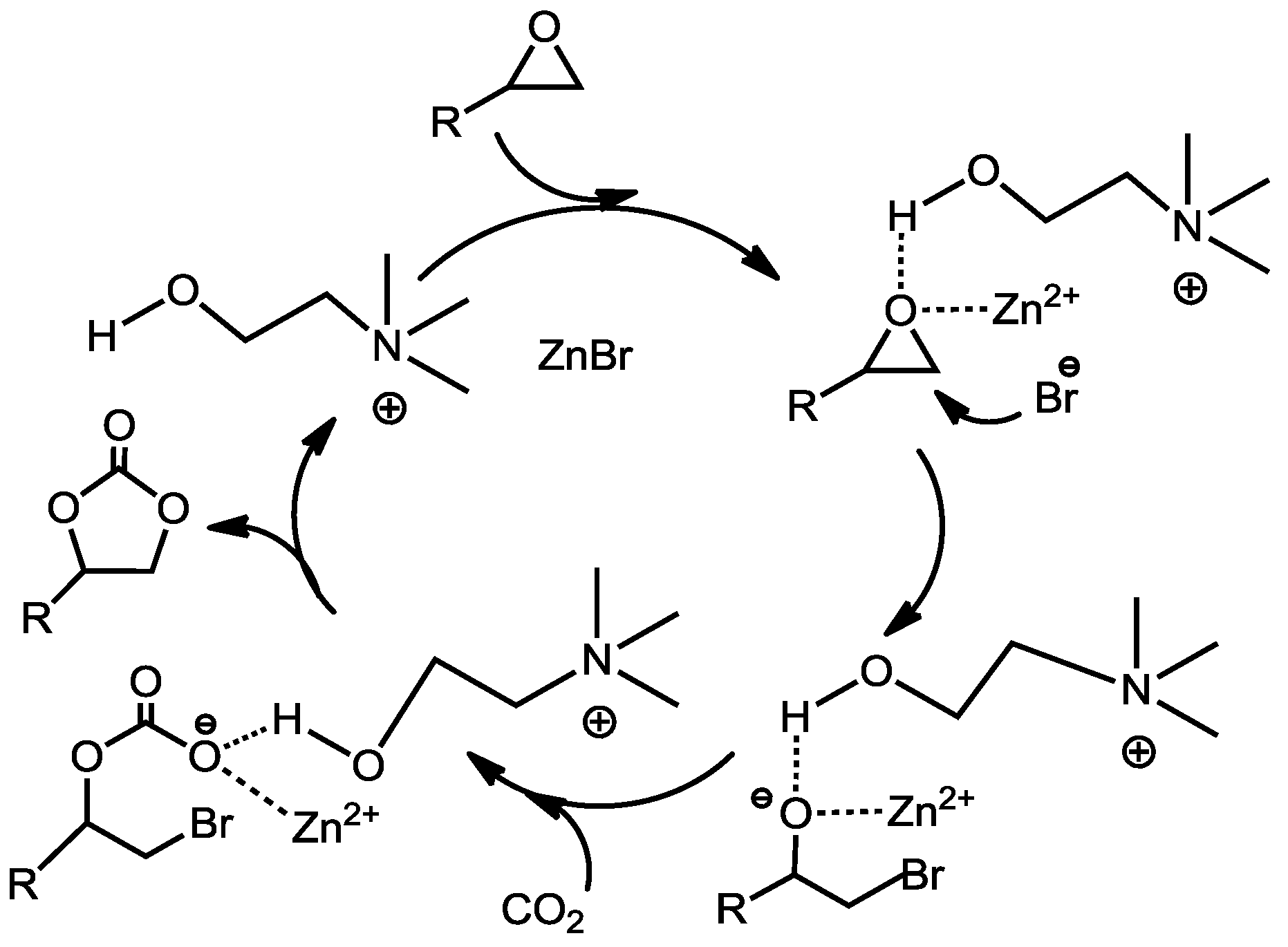 Catalysts 03 00878 g003
