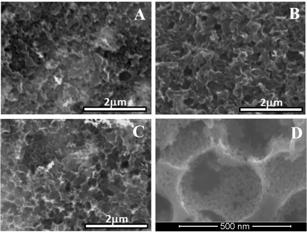 Catalysts 03 00902 g001 1024