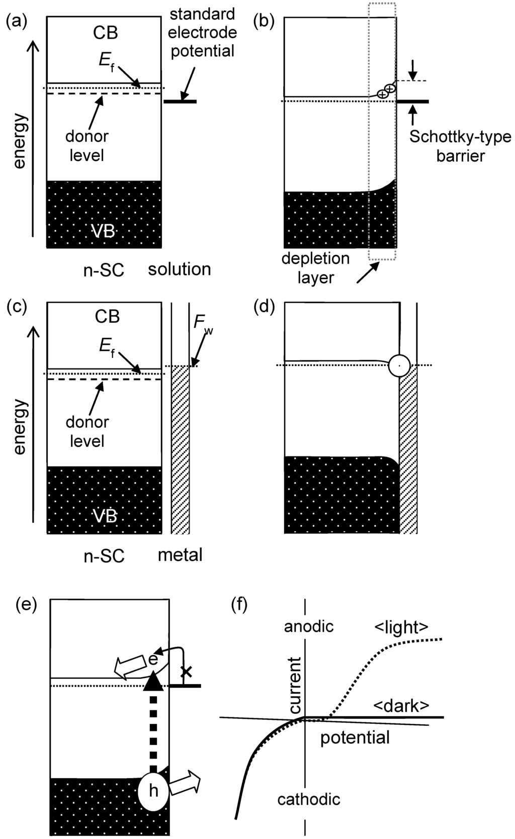Catalysts 03 00942 g002 1024