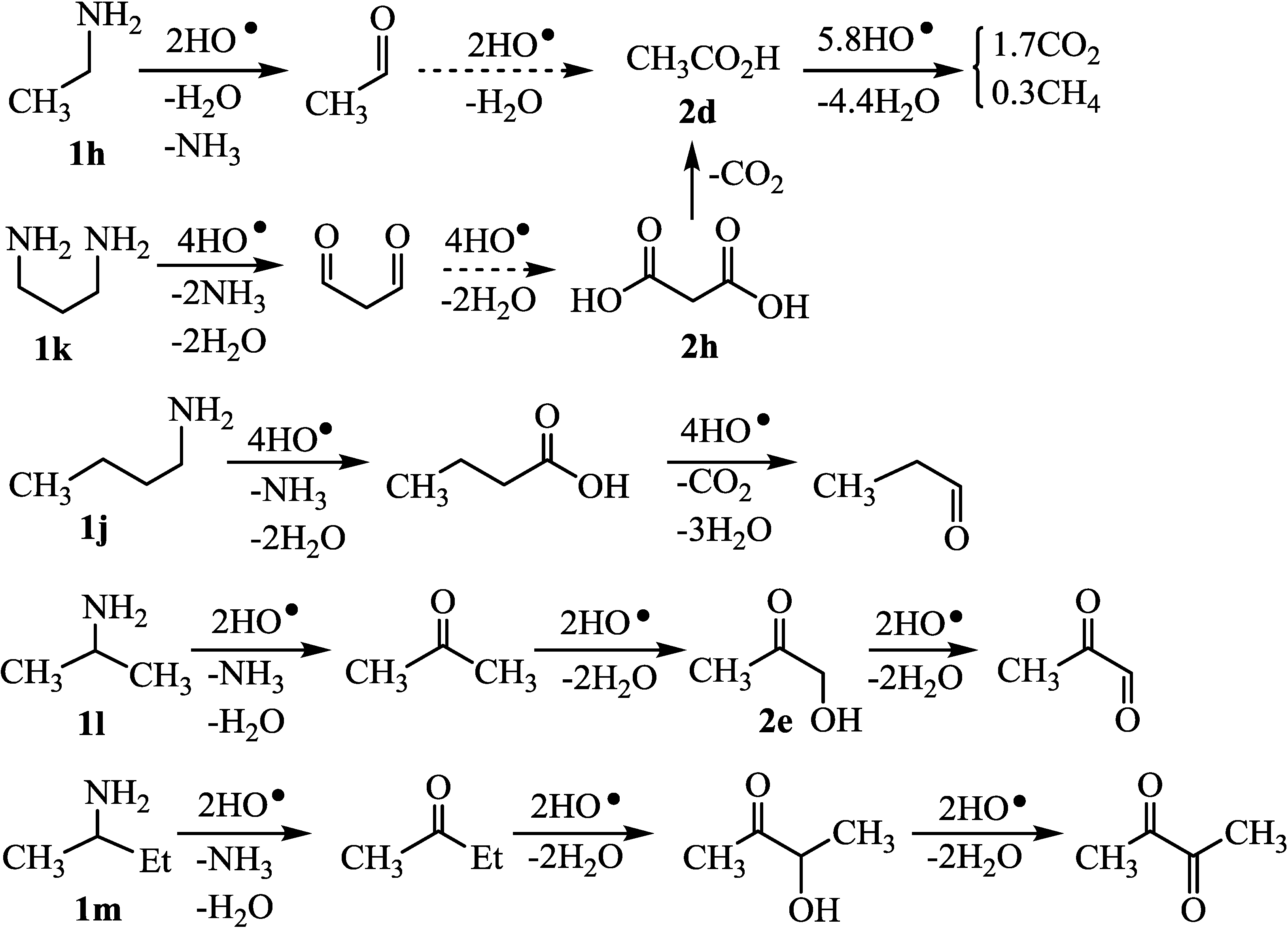 Catalysts 04 00162 g007