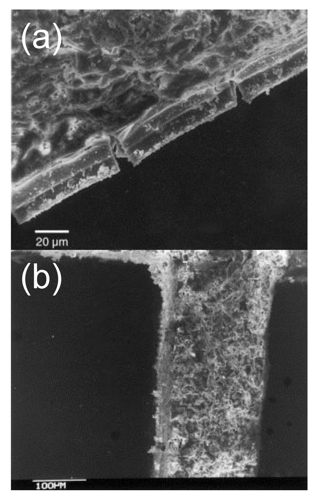 Catalysts 04 00226 g012 1024