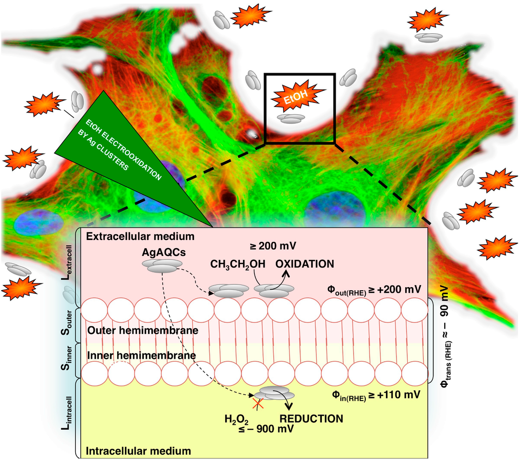 Catalysts 04 00356 g009 1024
