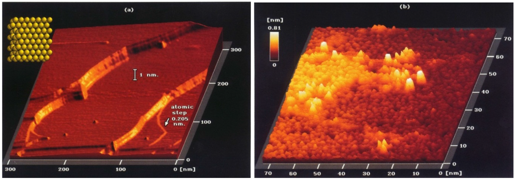 Catalysts 05 00145 g025 1024