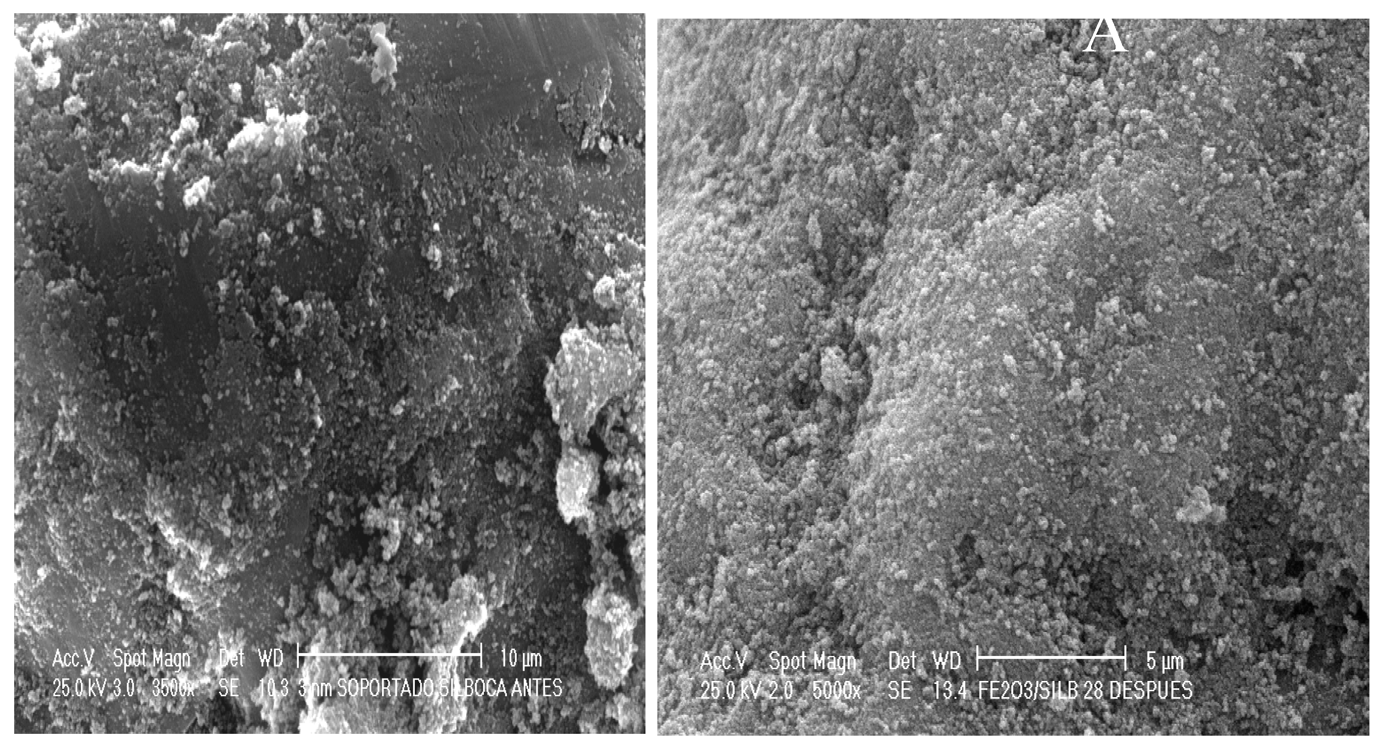 Catalysts 05 00286 g002