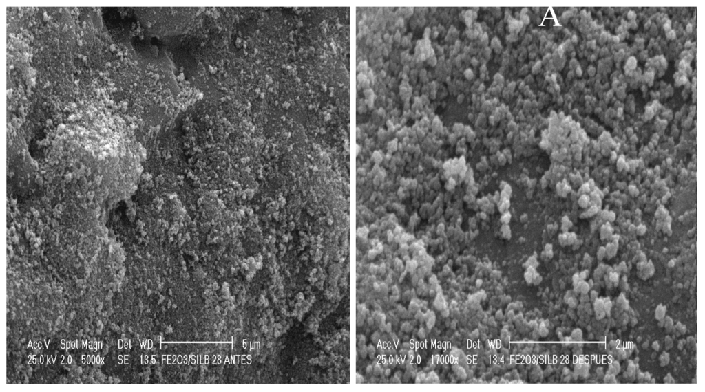 Catalysts 05 00286 g003 1024