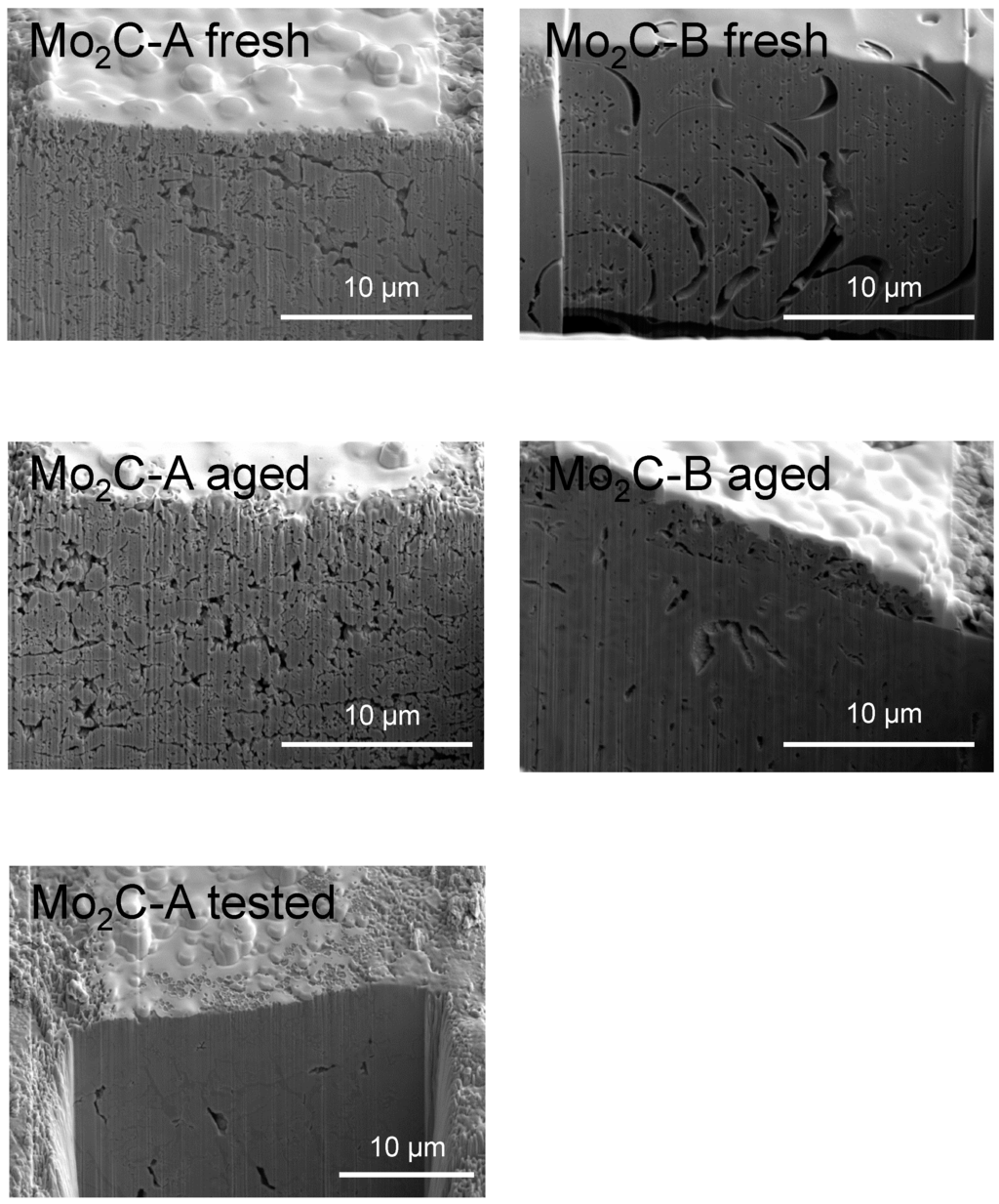 Catalysts 05 00406 g004 1024