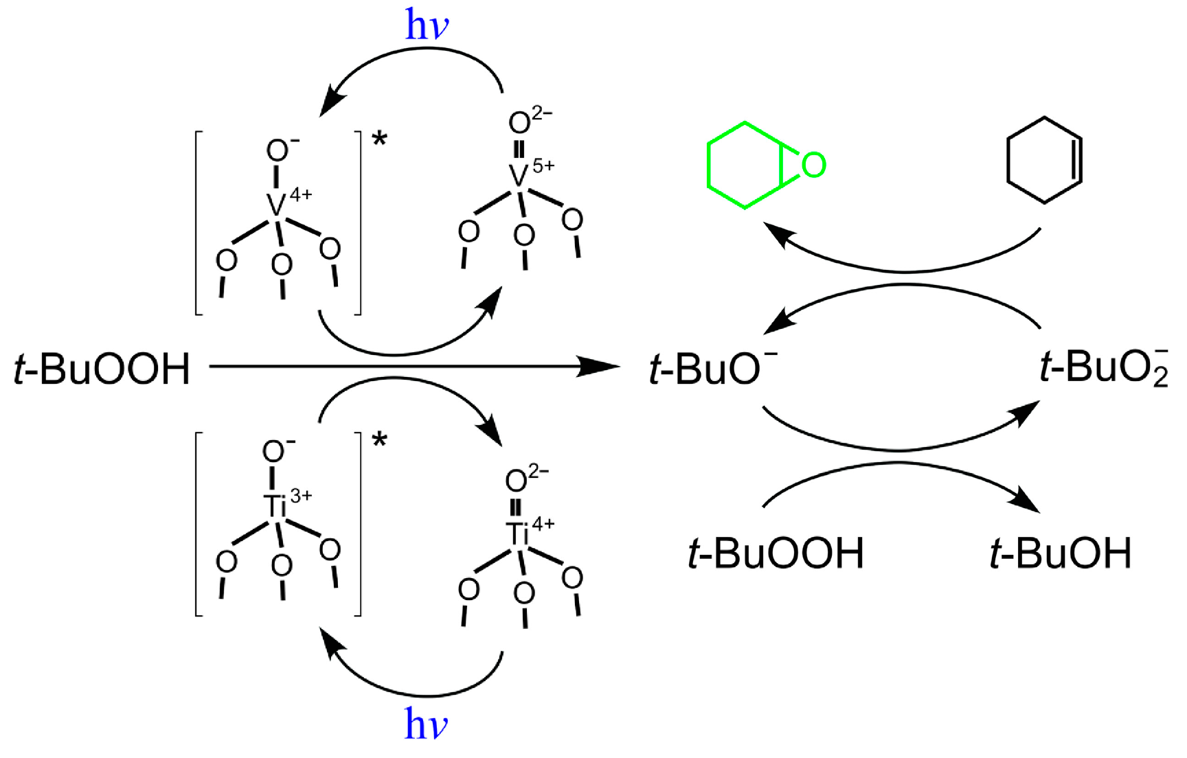 Catalysts 05 00518 g008