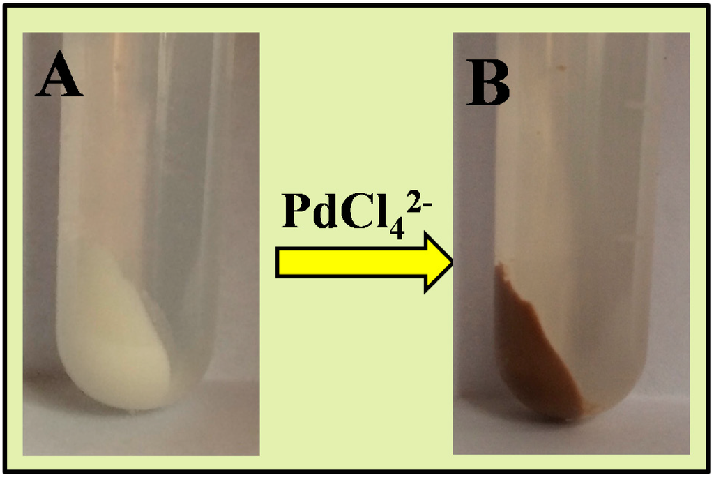 Catalysts 05 00992 g002 1024