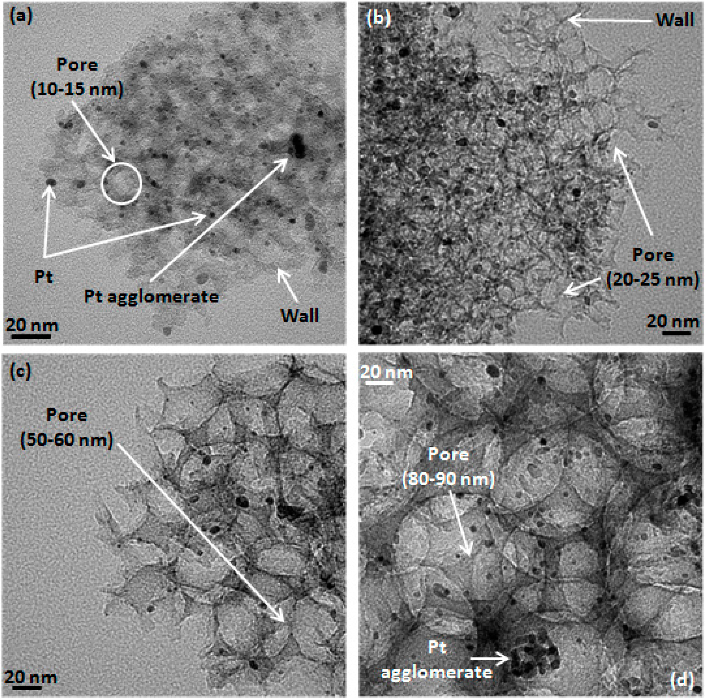Catalysts 05 01046 g002