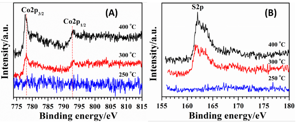Catalysts 05 01211 g004 1024
