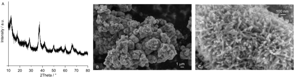 Catalysts 05 01399 g001 1024