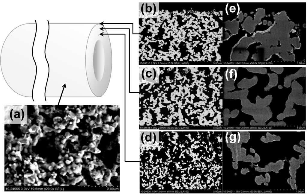 Catalysts 05 01498 g001 1024