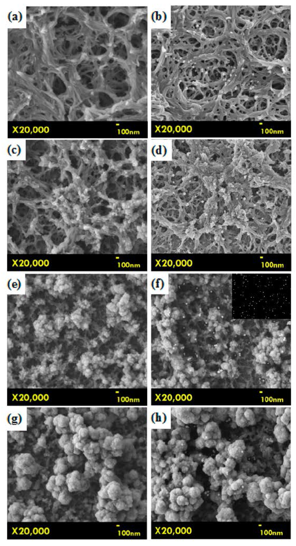 Catalysts 05 01657 g005 1024