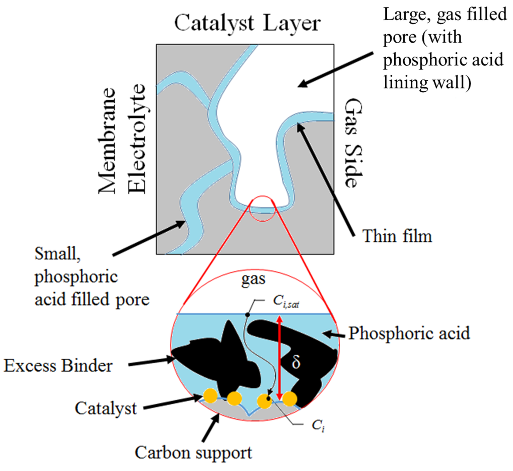 Catalysts 05 01673 g007 1024