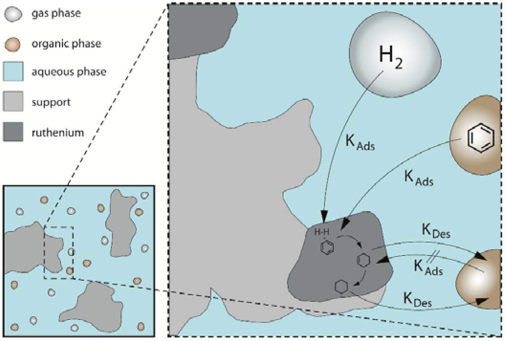 Catalysts 05 01756 g002 1024