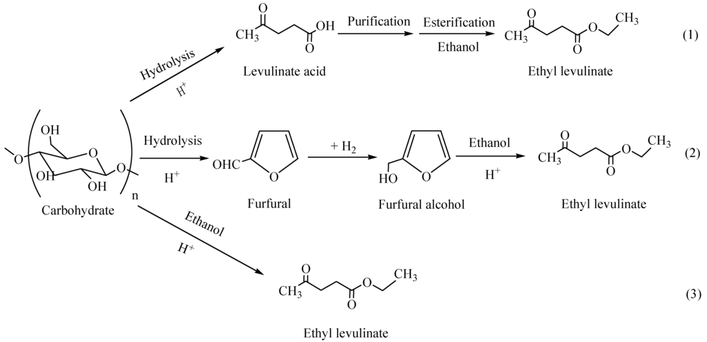 Catalysts 05 01897 g001 1024