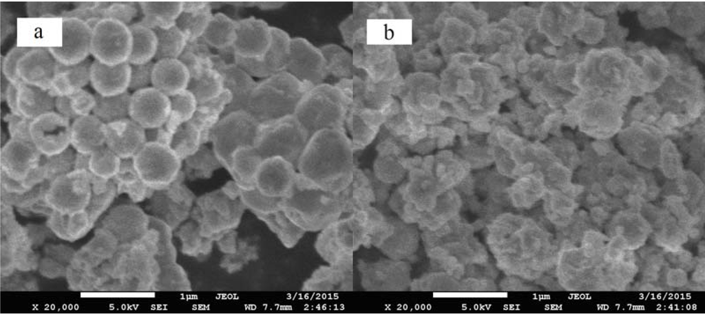 Catalysts 05 01897 g009 1024