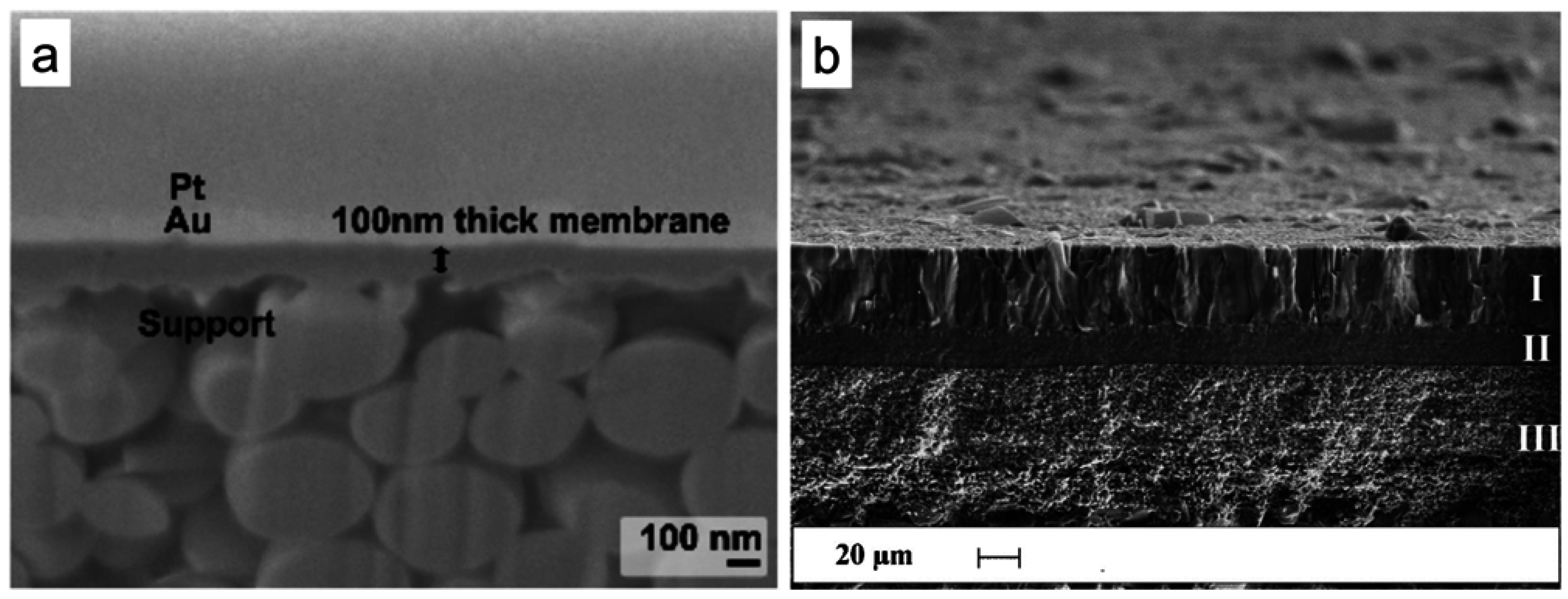 Catalysts 05 02161 g001