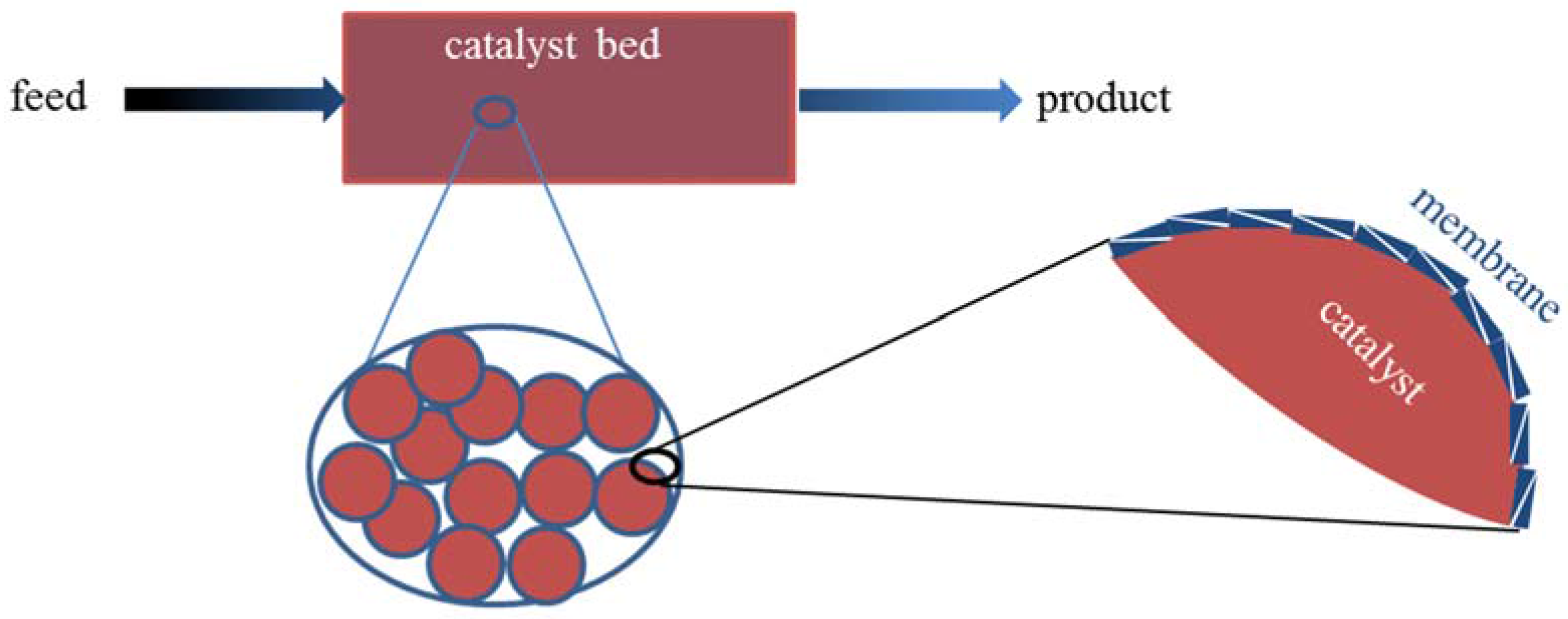 Catalysts 05 02161 g009