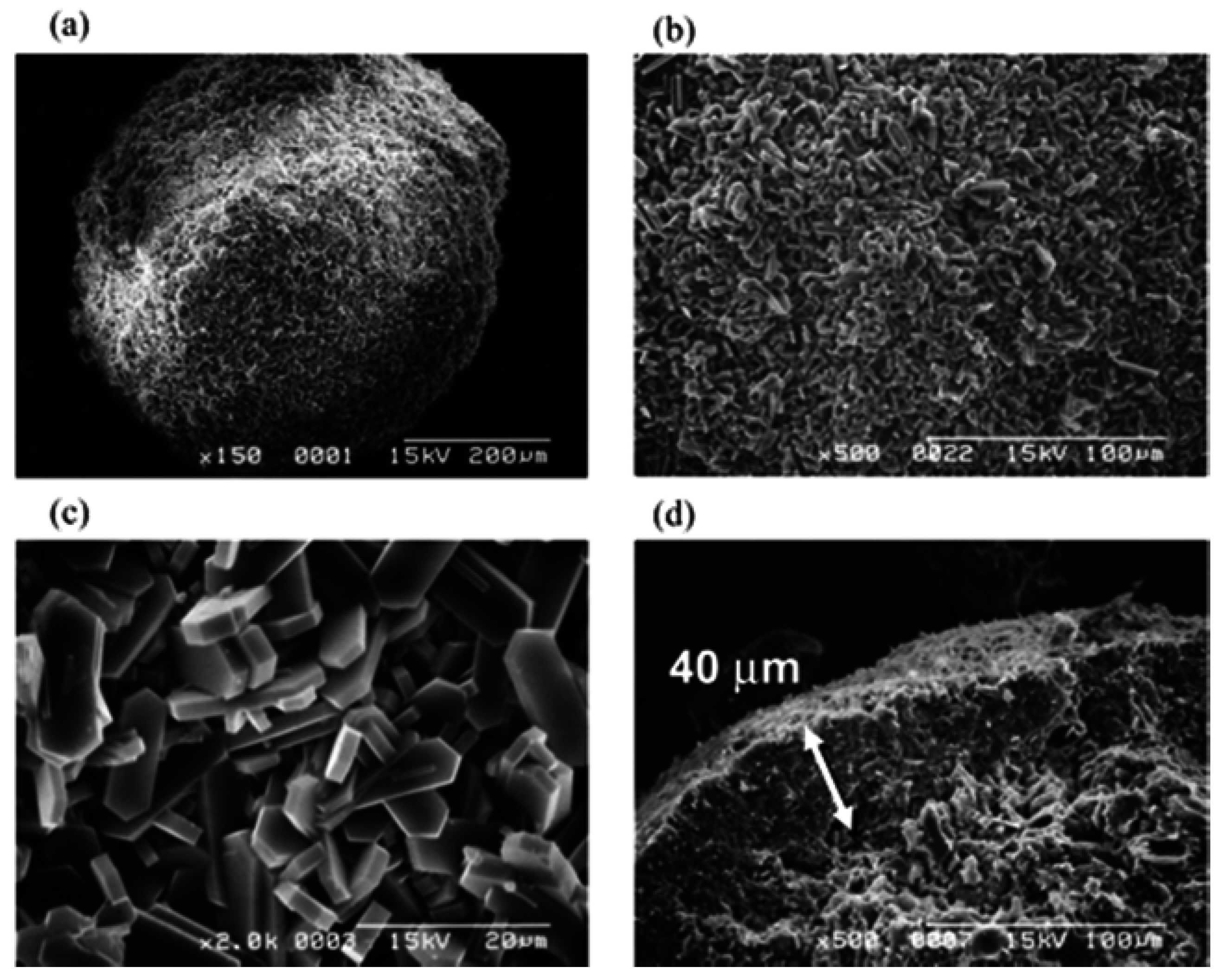 Catalysts 05 02161 g010