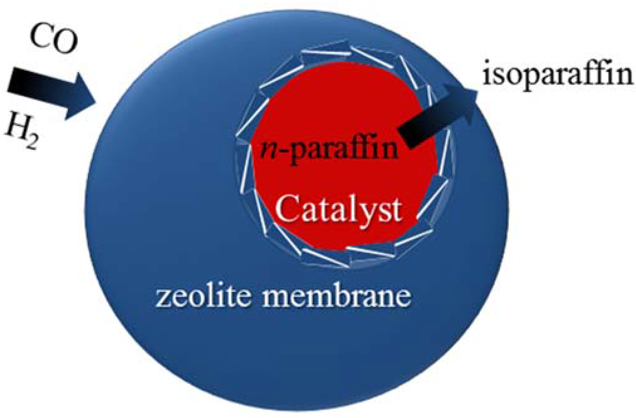 Catalysts 05 02161 g012