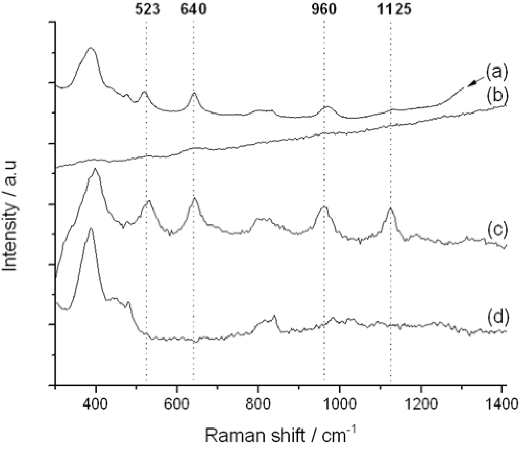 Catalysts 05 02309 g007 1024